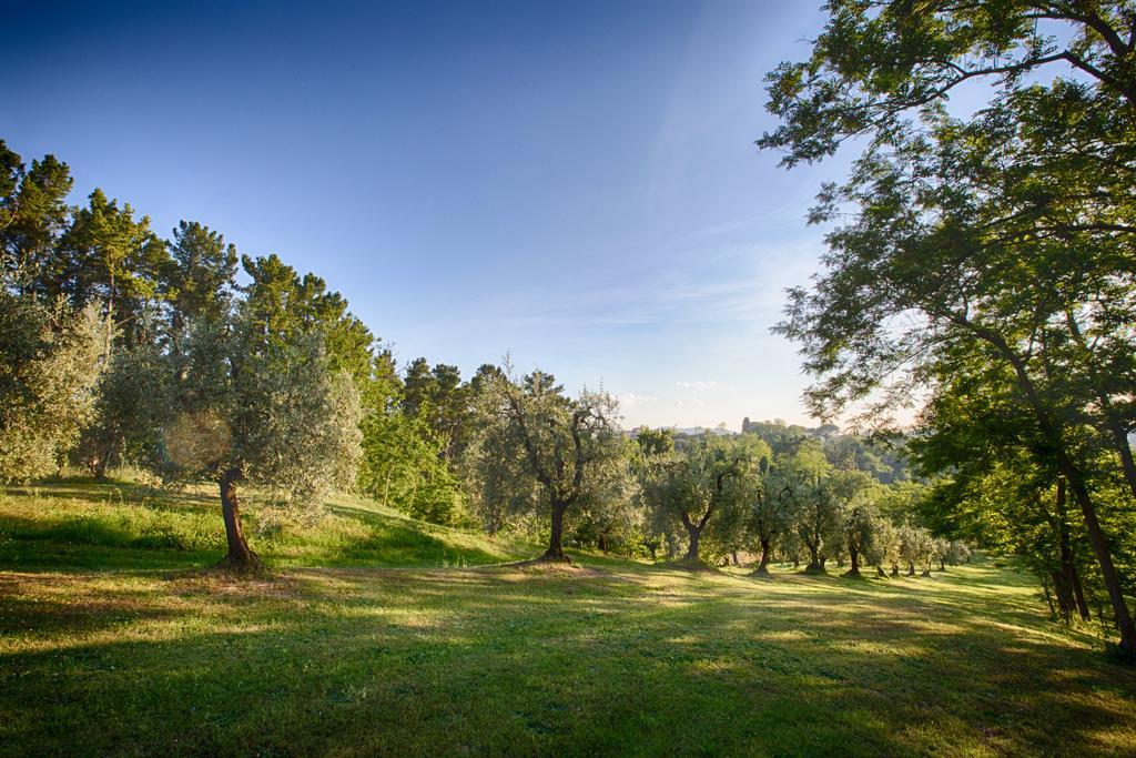 Podere Sant'Antonio Fauglia Esterno foto